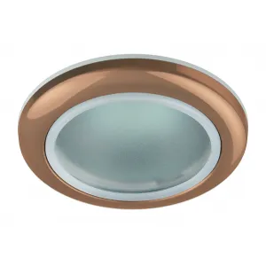 WR1 SC Светильник ЭРА влагозащищенный MR16,12V/220V, 50W медь (100/2400)