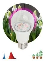 Фитолампа для растений светодиодная ЭРА FITO-14W-RB-E27-K красно-синего спектра 14 ВТ Е27