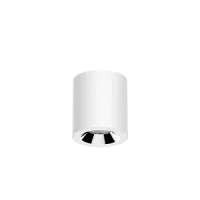 Светодиодный светильник "ВАРТОН" Downlight круглый накладной 100*110 12W 4000K