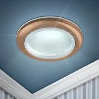 WR1 SC Светильник ЭРА влагозащищенный MR16,12V/220V, 50W медь (100/2400)