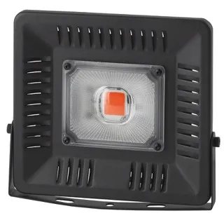 Фитопрожектор для растений светодиодный ЭРА FITO-50W-LED BLUERED  красно-синего спектра 50 Вт