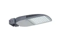 Светильник FREGAT FLOOD LED 110 (60) 5000К