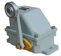 Выключатель концевой КУ 701, IP44