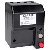 Выключатель концевой 1НО+1НЗ LS-S11-24DFT-ZBZ/X