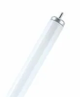 Светодиодная LED лампа Jazzway T5 G5 8W (800Lm) 4000K FROST стекло 563 х 20 PLED T5