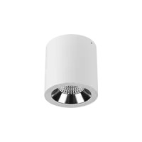 Светильник LED "ВАРТОН" Downlight круглый накладной 125*135 18W 4000K