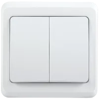EVV20-K01-10-DM