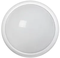 LDPO0-3030-12-4500-K01