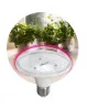 Фитолампа для растений светодиодная ЭРА FITO-18W-RB-E27красно-синего спектра 18 Вт Е27
