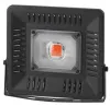 Фитопрожектор для растений светодиодный ЭРА FITO-50W-LED BLUERED  красно-синего спектра 50 Вт