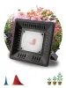 Фитопрожектор для растений светодиодный ЭРА FITO-50W-LED BLUERED  красно-синего спектра 50 Вт